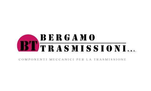 Bergamo Trasmissioni